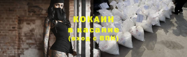 мяу мяу мука Бородино