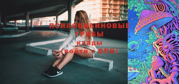 мяу мяу мука Бородино
