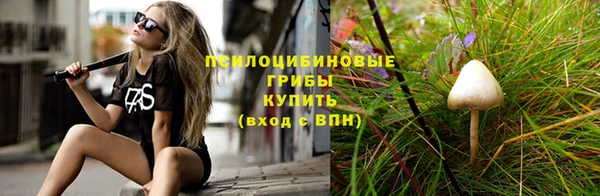 бошки Бугульма
